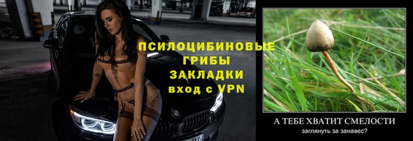 амф Балахна