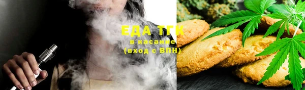 индика Балабаново