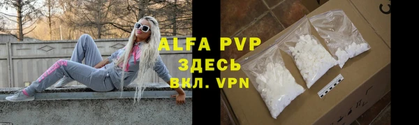 индика Балабаново