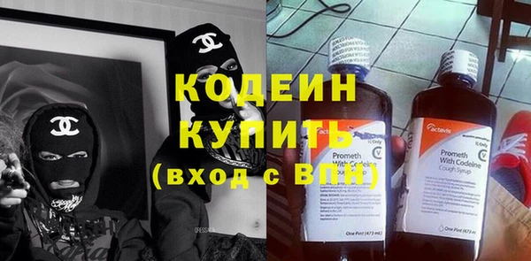 индика Балабаново