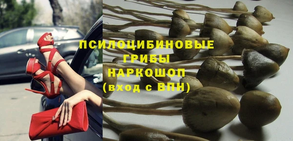 амф Балахна