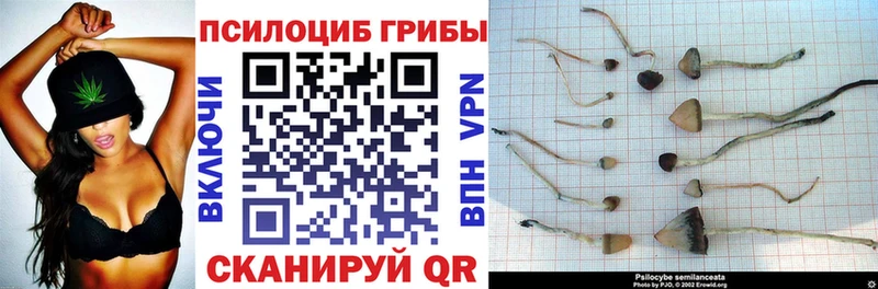 Галлюциногенные грибы Cubensis  мориарти как зайти  Вольск  цены наркотик 